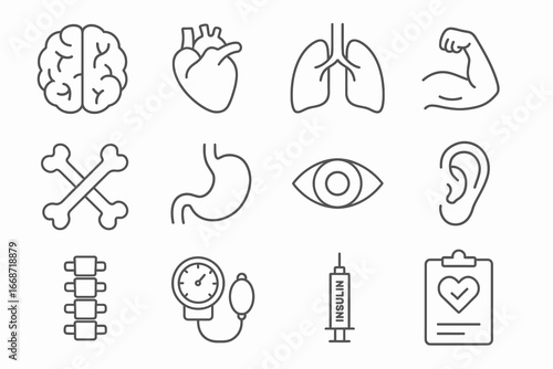 Simple human anatomy and medical icons set, thin line style, minimal vector illustration