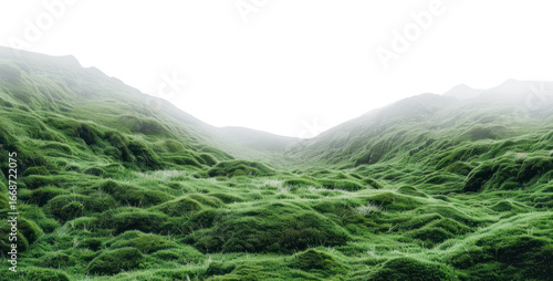 PNG Foggy valley with soft mossy ground landscape scenery nature.