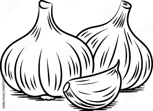 Black and White Illustration of Two Garlic Bulbs and a Clove