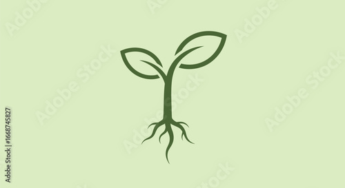 Green plant sprout with roots and leaves.