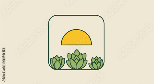 Minimalist line art illustration of succulents under the sun.