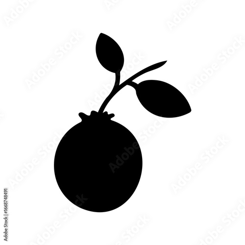 Silhouette of a round fruit with leaves sprouting from the top
