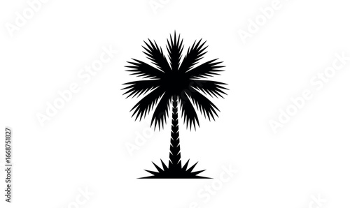 palm tree minimalist and flat logo, palmetto logo, silhouette vector illustration, black and white background  