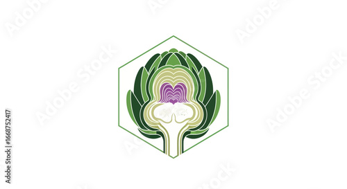 Detailed Cross Section of an Artichoke.