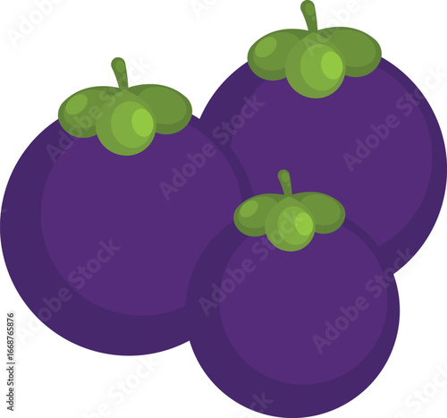 vector illustration of plums