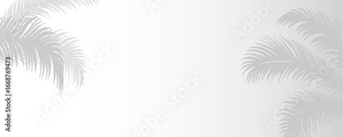 Delicate shadow from window and plants, template for social media background, product presentation, sunlight reflecting on wall, vector, png.	
