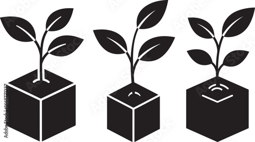 Three growing plants in cubes silhouette