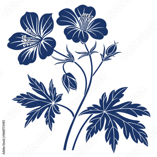 cranesbill hardy geranium blue vector
