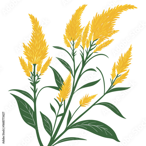 bouquet of celosia bulk yellow