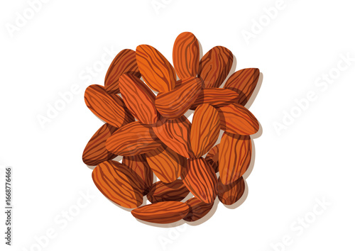 almond nut isolated on white background illustration vector