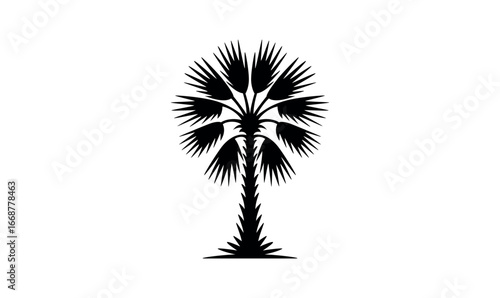 Palm tree minimalist flat logo, palmetto logo, silhouette vector illustration, black and white background