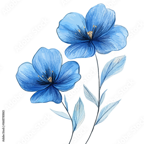 blue flowers hand drawn illustration