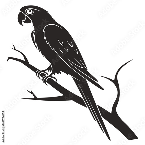 vector illustration of a bird