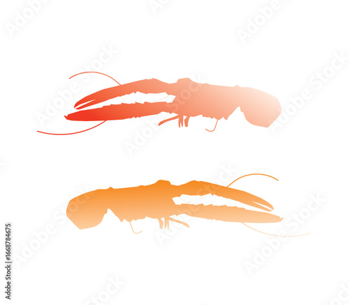 shrimp on white background