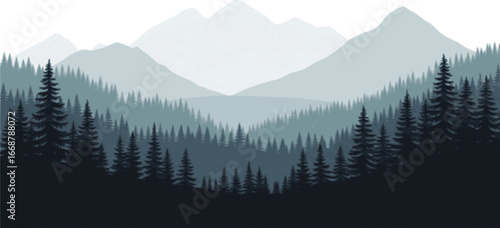 coniferous forest vector. Fir trees forest vector.