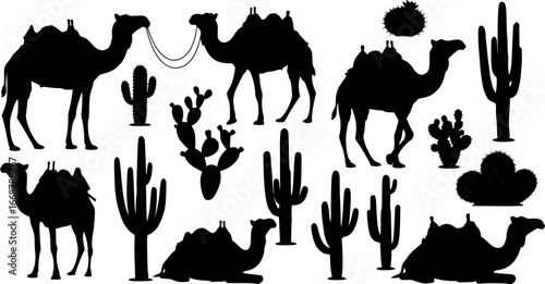 camels and cacti vector silhouettes collection
