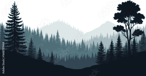 coniferous forest vector. Fir trees forest vector.