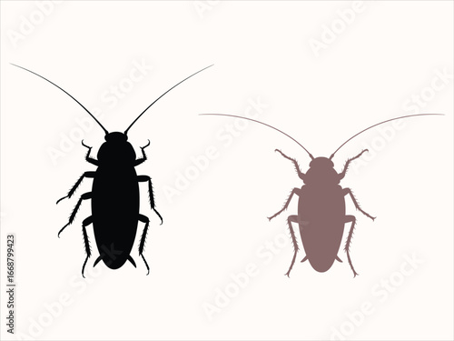 Black brown cockroach silhouettes insect