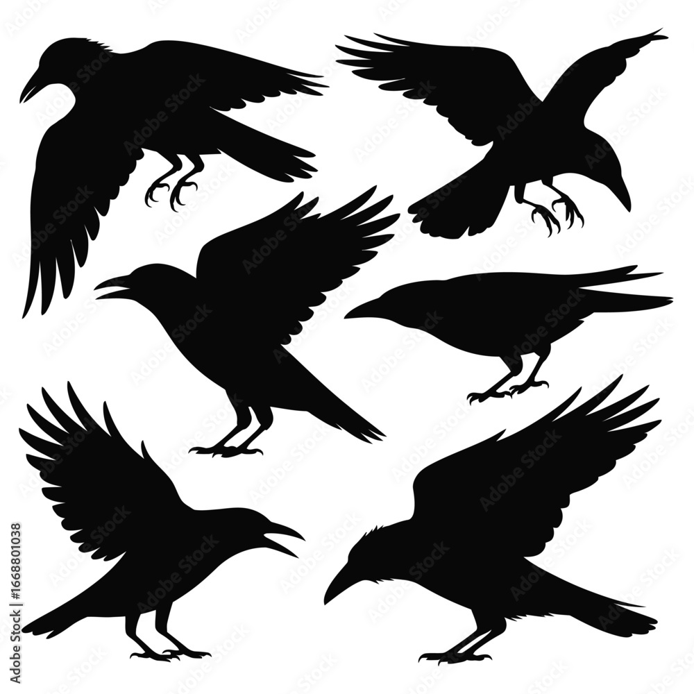 Obraz premium Black silhouettes of birds in various poses white flying