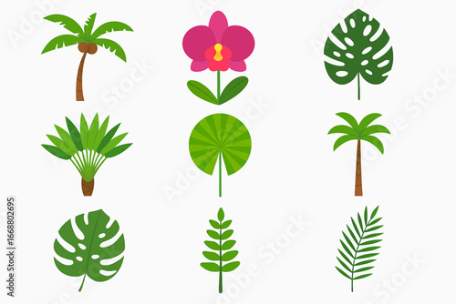 Brazilian rainforest plants vector icon set with palms, orchids, and tropical leaves
