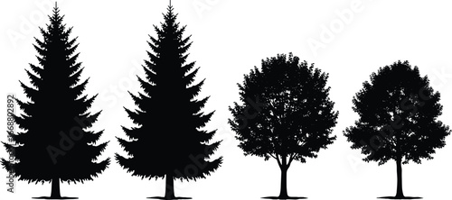 PrintTree silhouettes vector, evergreen and deciduous trees illustration, black forest tree design, natural foliage graphic, isolated on white background