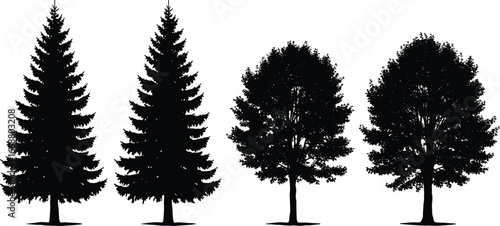 PrintVector illustration of pine and deciduous tree silhouettes, forest elements, nature graphic, black isolated trees on white background for design