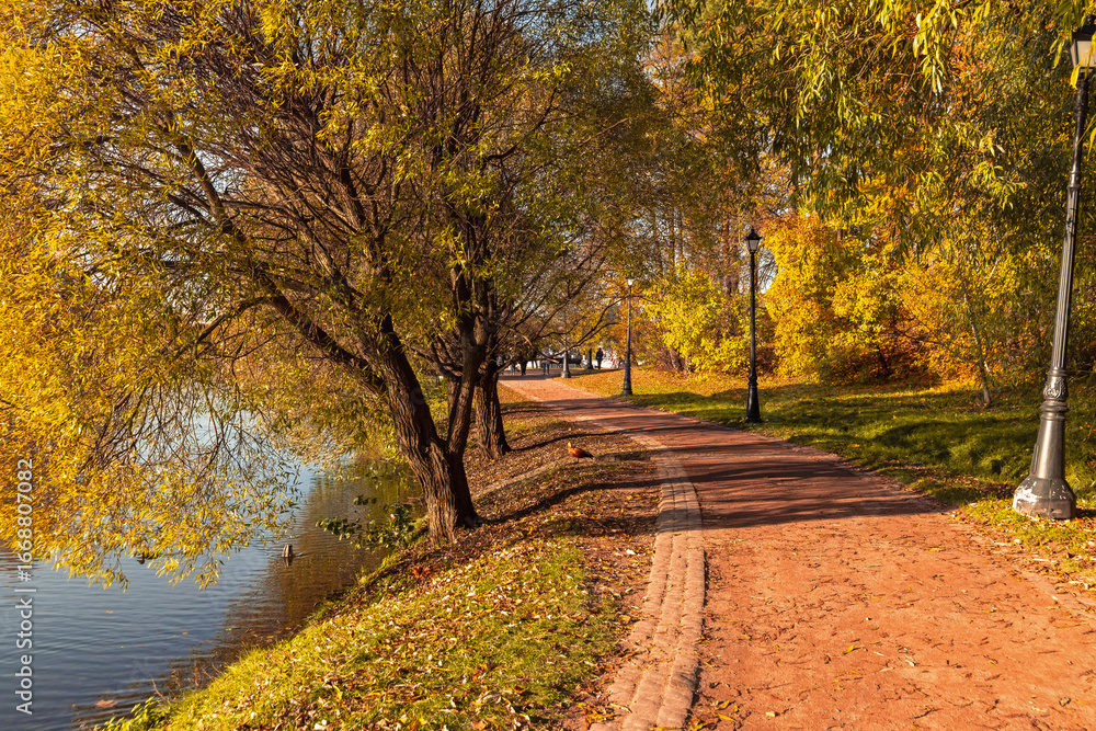 Naklejka premium path in autumn park
