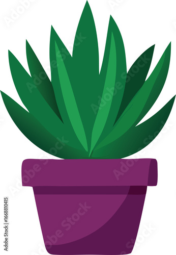 Vibrant green succulent plant in a stylish purple pot ideal for home decor and office decoration elements