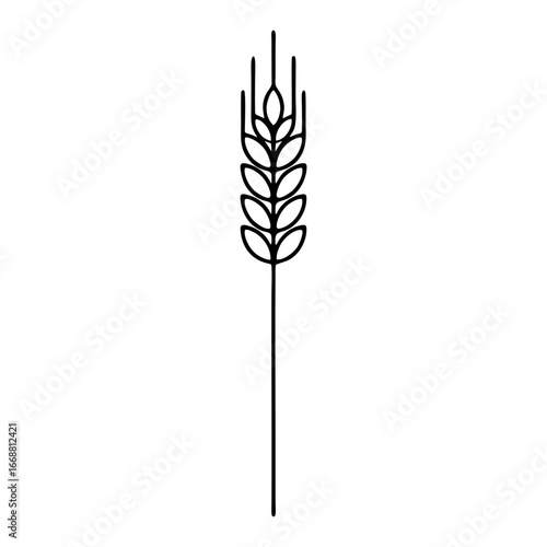 vector wheat ears isolated on white