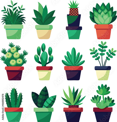 Collection of diverse potted green plants and cacti for home decor and gardening enthusiasts
