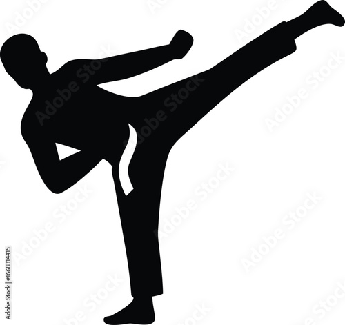 Silhouette of a martial artist performing a high side kick with a white belt karate martial arts
