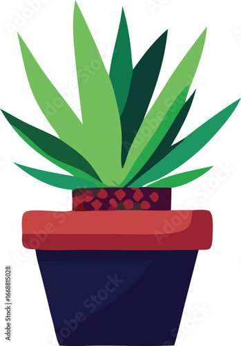 Vibrant potted succulent plant with broad green leaves in a stylish terracotta and blue planter