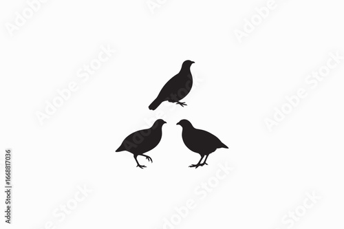 Quail farming bird vector silhouettes black image made by adobe illustrator with white color back round          .eps