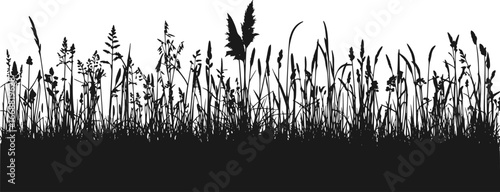 Set of horizontal banners of meadow silhouettes with grass. hand drawn.  Vector illustration.
