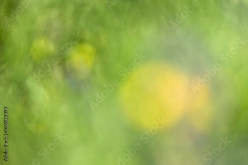 escena de flores en el campo con efecto borroso y fuera de foco estilo bokeh con colores verdes y amarillo