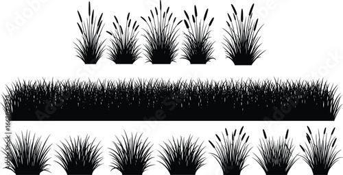 Grass and plant silhouettes, tall grass with seed heads, lawn strip, short grass clumps, botanical vector illustration, landscaping design element, black nature icons

Keywords (45 total: 15