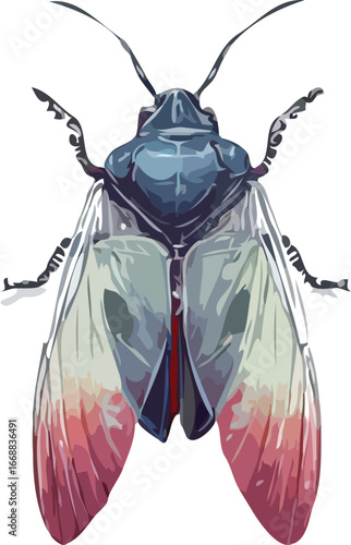 insects vector art