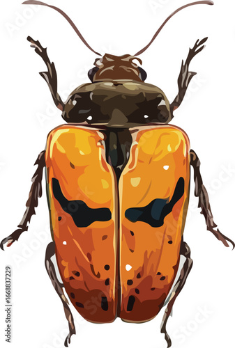 insects vector art
