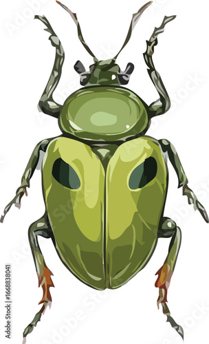 insects vector art