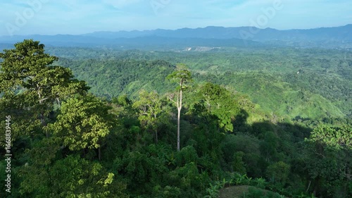 Sajek, Bangladesh - 21 August 2025: Aerial view of the lush green Sajek valley with its rolling hills and dense forestation under a clear blue sky.