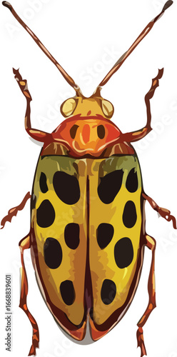 insects vector art