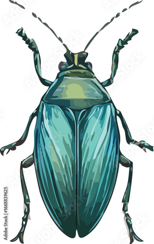 insects vector art