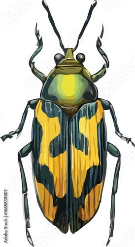 insects vector art