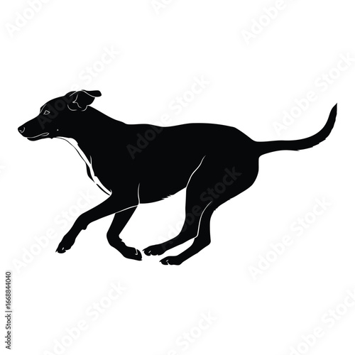 Athletic silhouette of a greyhound dog in full gallop motion isolated on silhouette