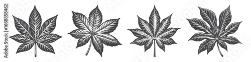 Vintage Hand-Drawn Cassava Leaves Illustration, Tropical Foliage Engraved Vector for Farming and T-Shirt Design
