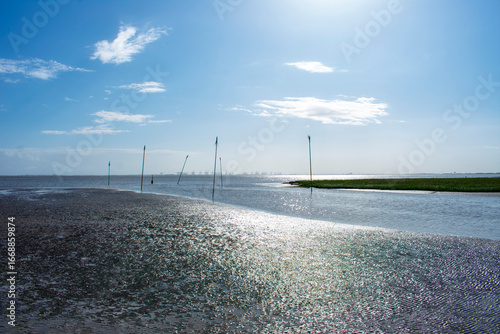 Nordseeküste von Fedderwardersiel bei Ebbe am Morgen