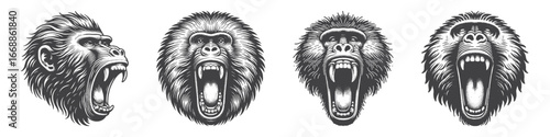 Vintage Hand-Drawn Baboon Head Screaming with Open Mouth Illustration, Primate Animal Engraved Vector for Wildlife and T-Shirt Design