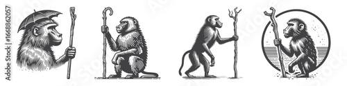Vintage Hand-Drawn Baboon Holding a Stick Like a Staff Illustration, Primate Animal Engraved Vector for Jungle and T-Shirt Design