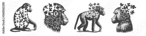 Vintage Hand-Drawn Baboon with Puzzle Skin Pieces Rearranging Illustration, Primate Animal Engraved Vector for Surreal Mind Theme and T-Shirt Design