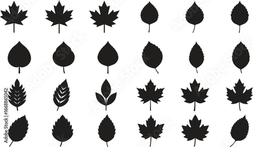 leaf silhouettes set. Maple leaf icon, Maple leaf vector illustration, Maple leaf outline, Maple leaf svg, Leaf silhouettes, Leaf icon